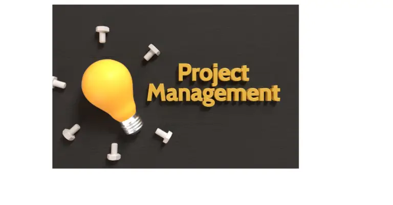 What is the Role of Project Manager during Risk Assessment?