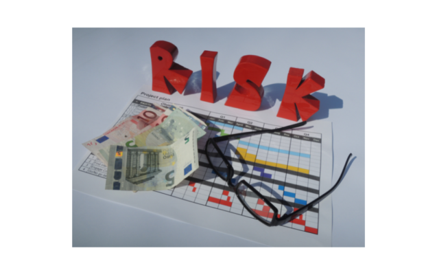 what is portfolio risk management