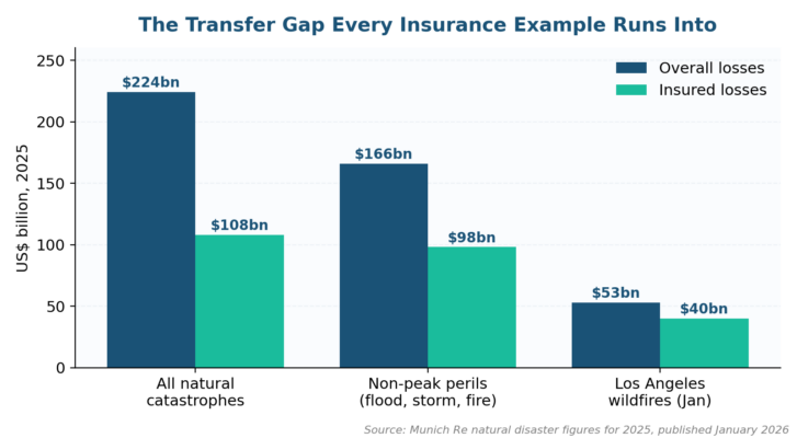 Risk Management Examples