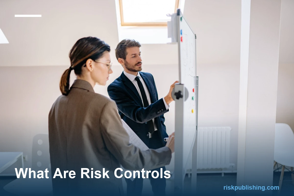 what are risk controls, showing preventive, detective, corrective, and directive controls with effectiveness bars