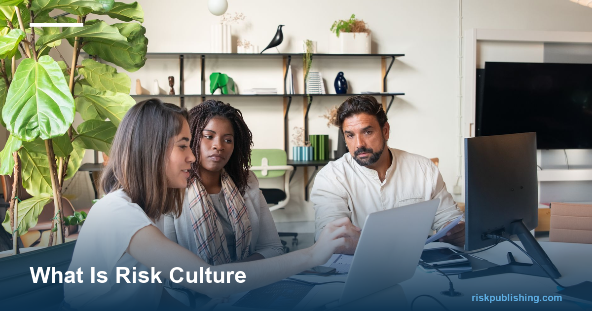 risk culture colleagues debating a decision openly around a shared screen