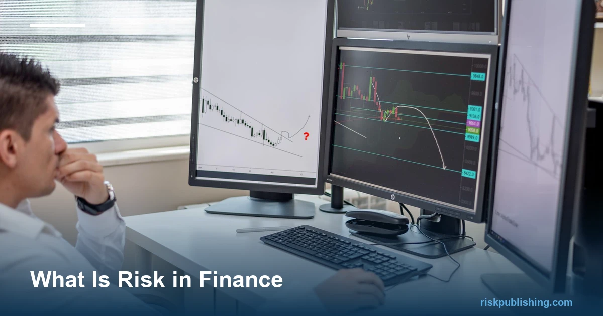 What Is Risk in Finance?