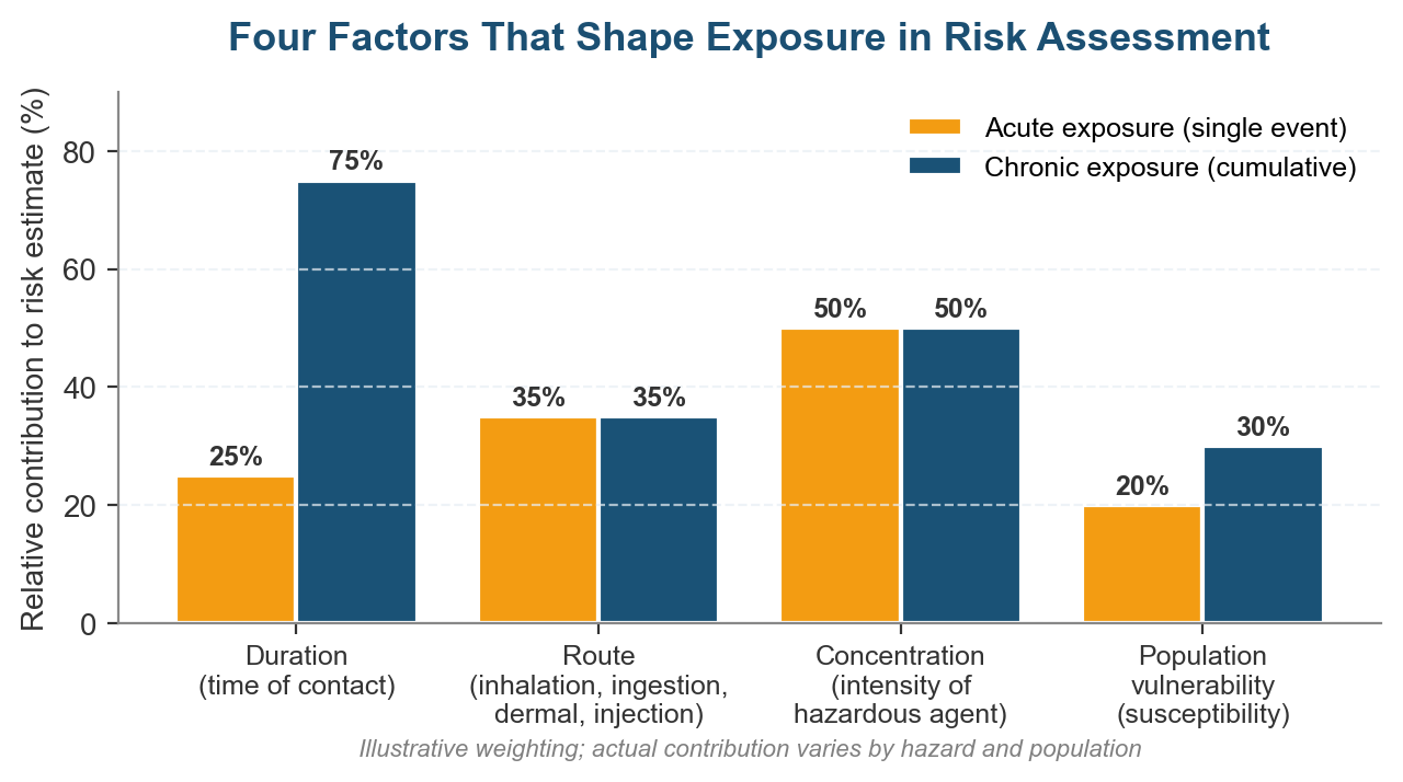 Four factors that shape exposure in risk assessment - duration, route, concentration, vulnerability