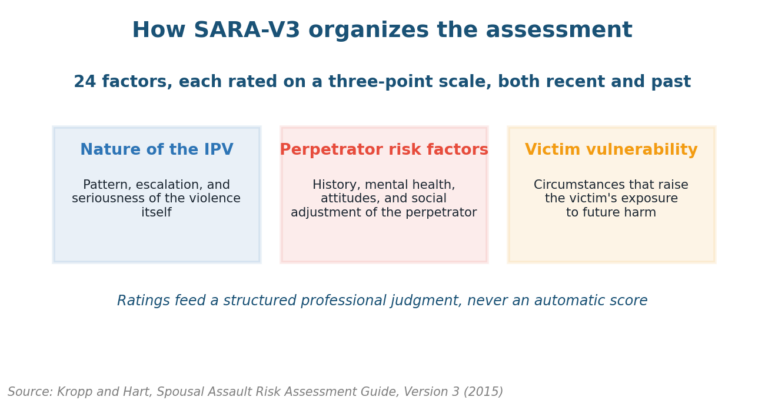 SARA Risk Assessment Explained SARA risk assessment V3 domains: nature of IPV, perpetrator risk factors, and victim vulnerability