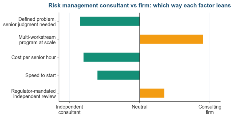 Risk Management Consultant vs Firm: Which Should You Hire?